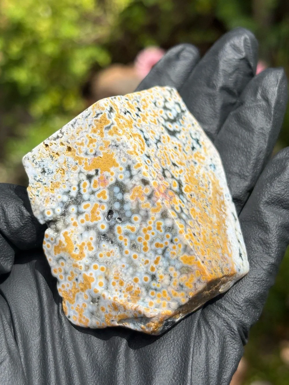 Ocean Jasper Crystal Freeform - Orbicular Jasper - Sea Jasper - Polished